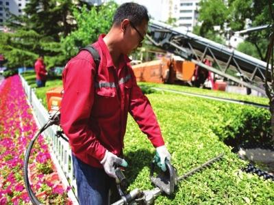 綠化工