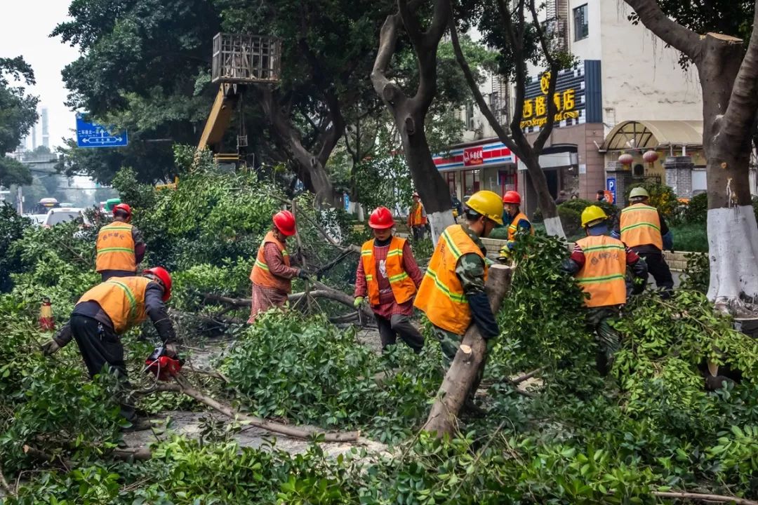 東莞園林綠化工如何報考有地區(qū)限制嗎(圖1)