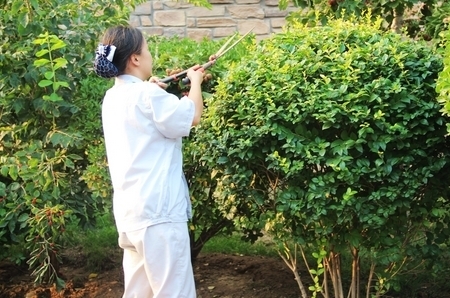 園林