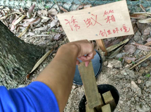 白蟻防治