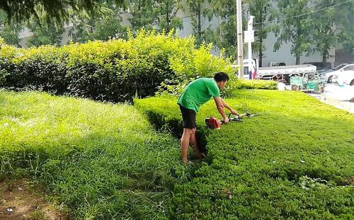 園林綠化工