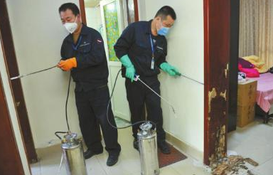 白蟻防治工